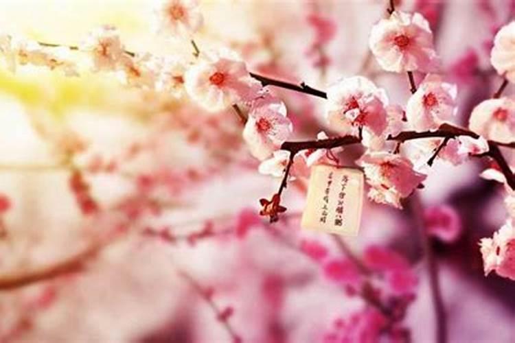 怎么催旺正桃花？