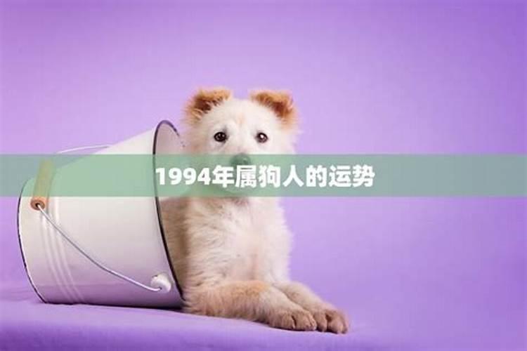 1994年属狗的人2026年运势如何？