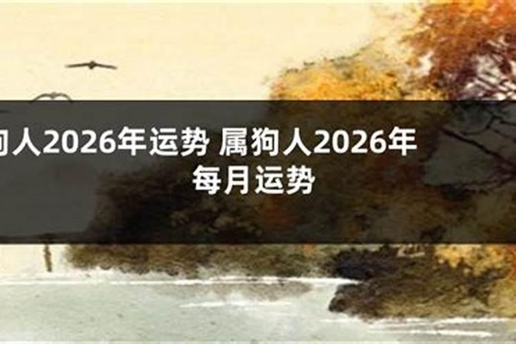 狗肖2026运势如何？