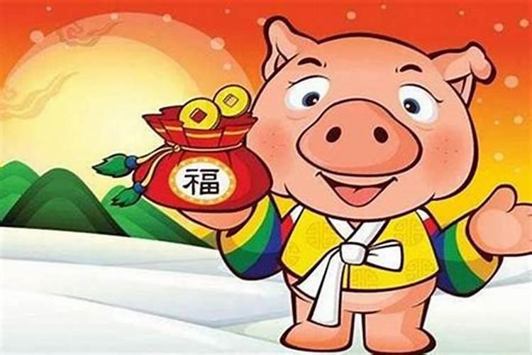 属猪的明年的婚姻运势