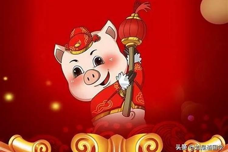 牛人逢猪年运势如何？