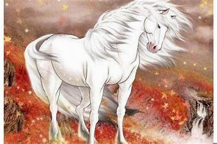 数马的跟属猴的合婚吗？