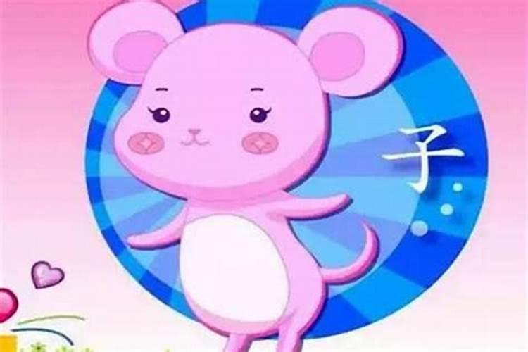 属狗女属鼠男八字合吗？