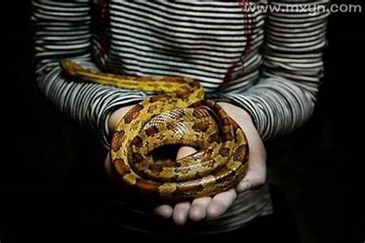 梦见蛇咬到我的脚是什么意思？