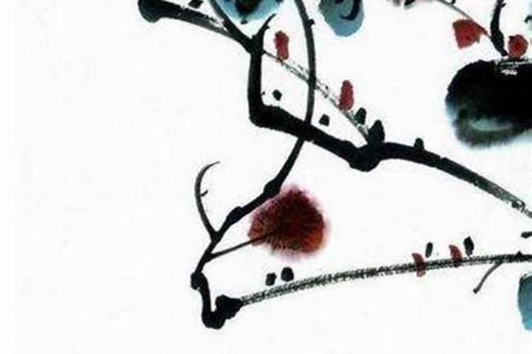 属牛和属大龙的八字合吗？