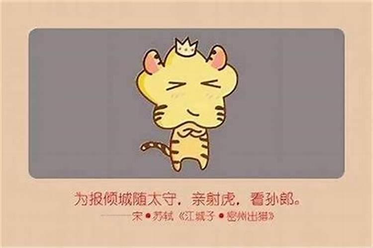 属虎本命年今日运程