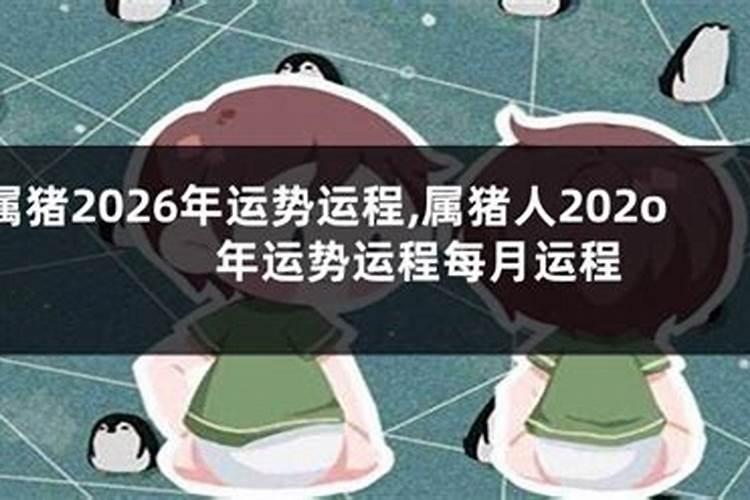 1947年猪人2026年运势运程