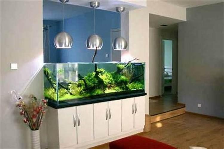 鱼缸风水摆放8个方位