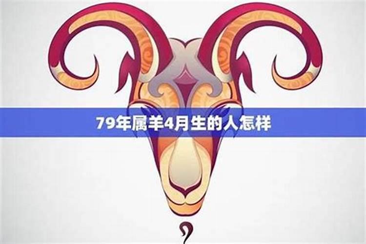 79年的羊2026年运势如何？