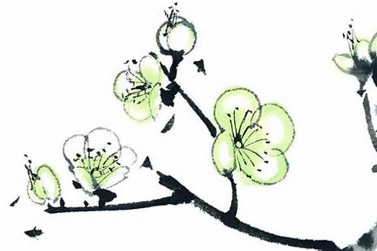 本命年运气会变好吗？