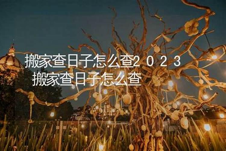 查日子怎么查？