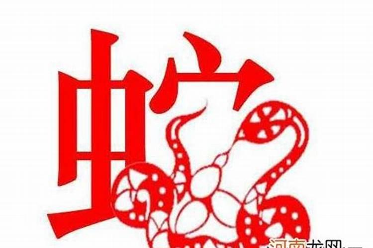 1987年的蛇今年运势如何？