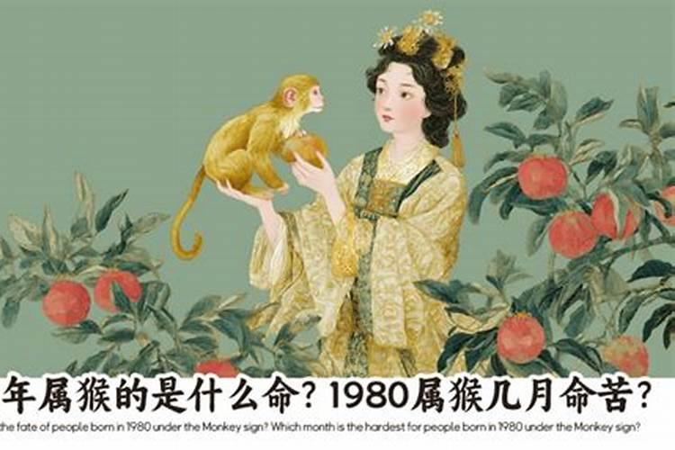 1980年属猴女申时出生的运程