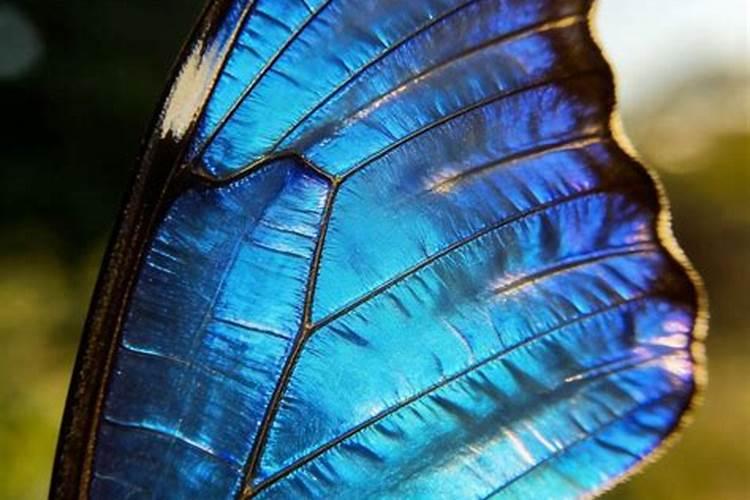 2026年属龙9月运势怎么样？