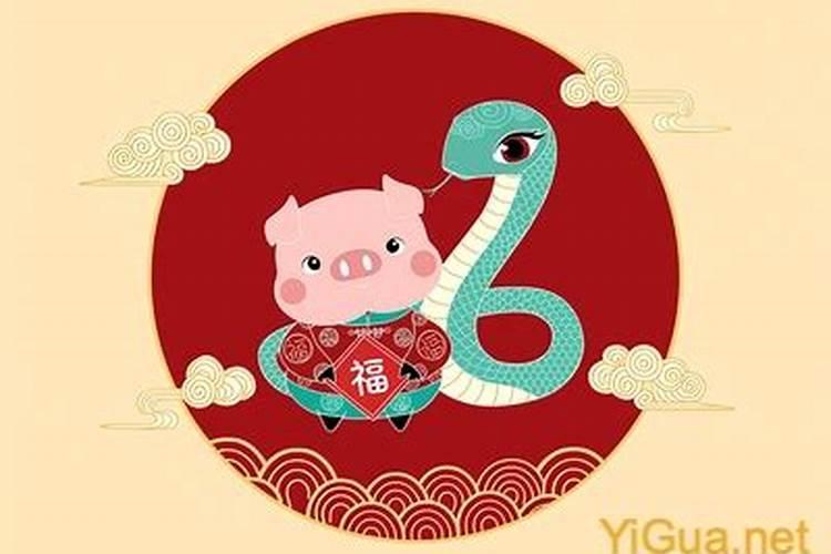 猪和蛇八字合有可能吗？