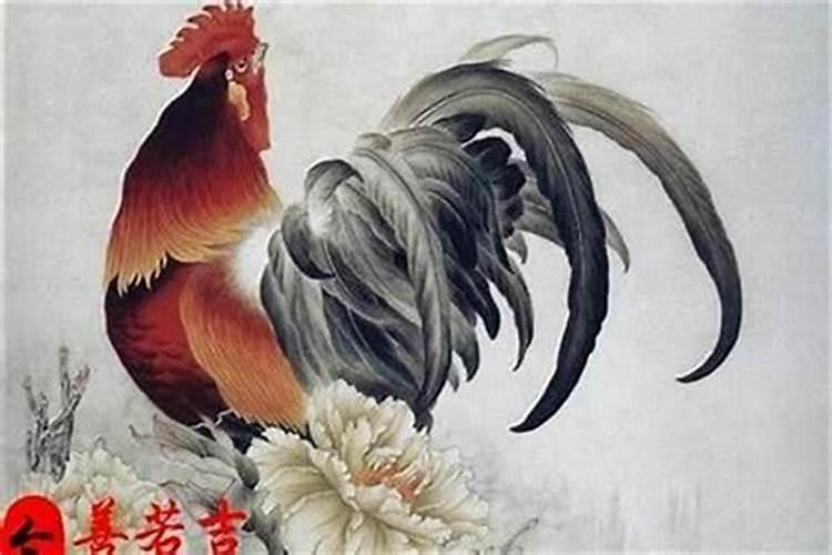 93年的鸡今年运势如何？