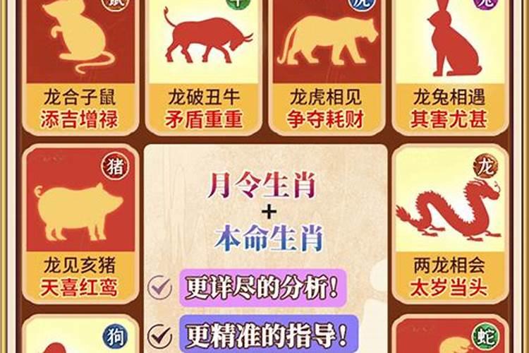 关于女出生15的运程