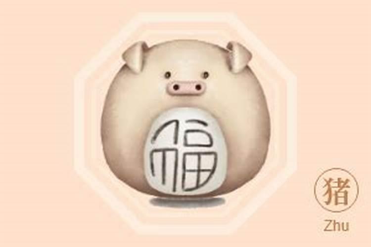 属猪的生肖2026年运程