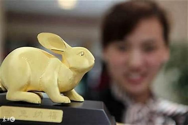 属兔在2026的运势如何？