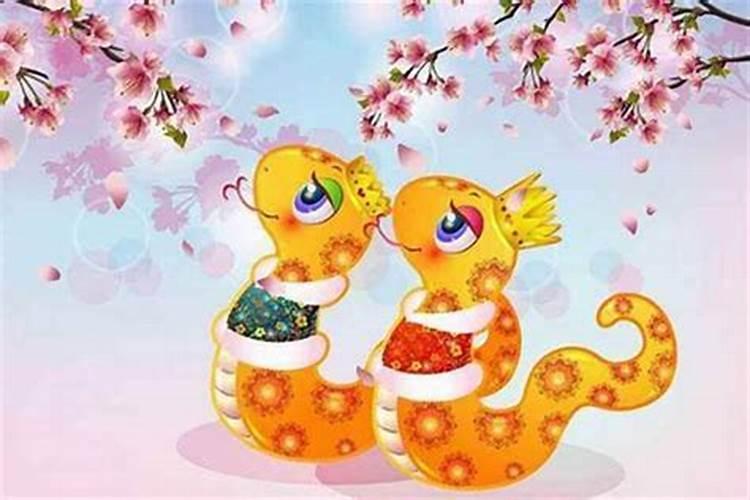 属蛇申时和属马亥时合婚吗？