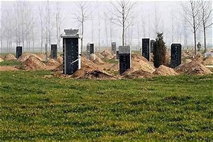 坟地逝者八字不合