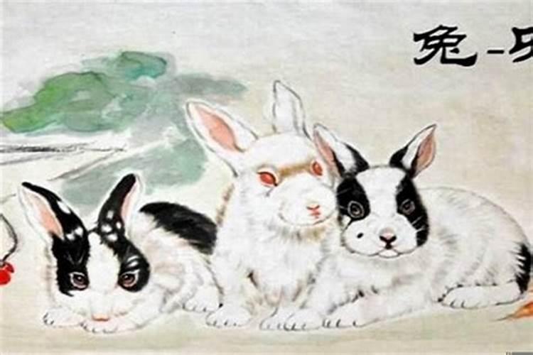 兔冲太岁什么意思？