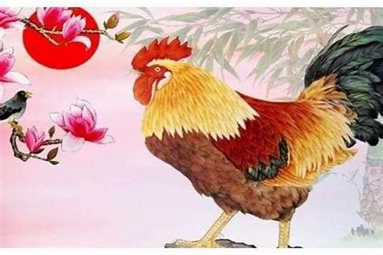 属鸡本命年下半年运势如何？