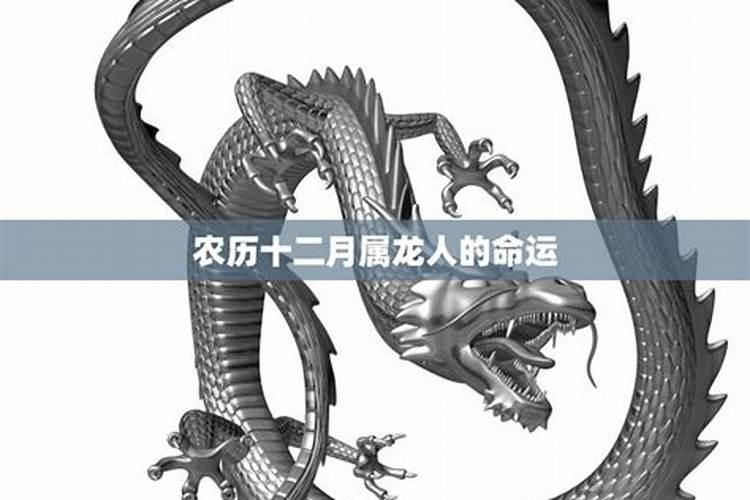 属龙农历十二月运势如何？