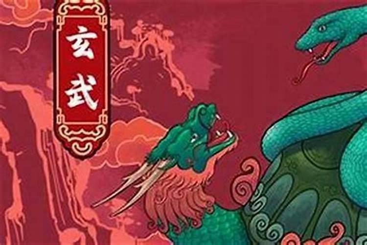 属蛇77生一生运势如何？