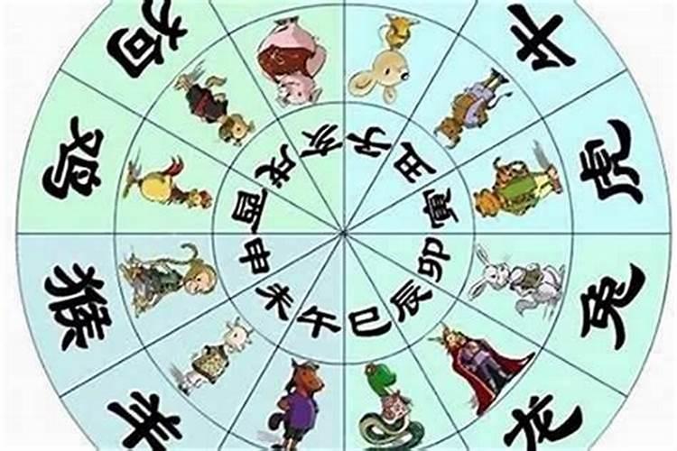 蛇年1977年出生的运程