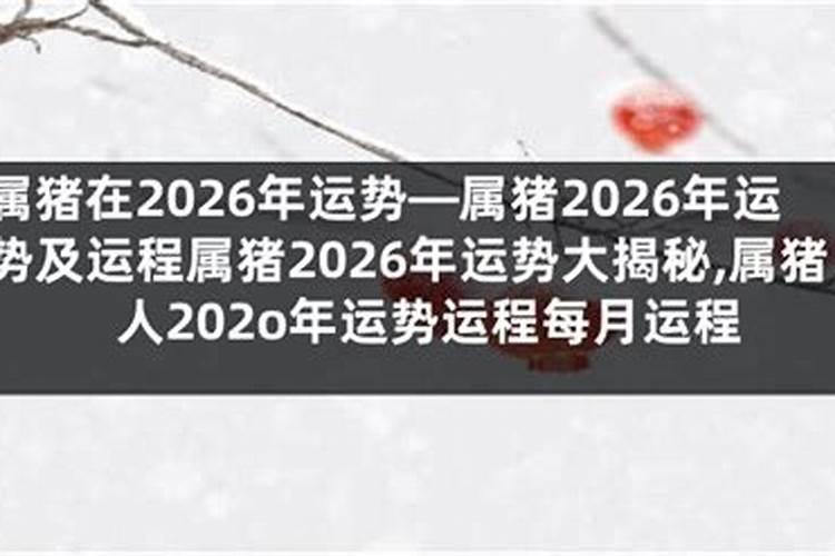 属猪男1959年在2026年的运程