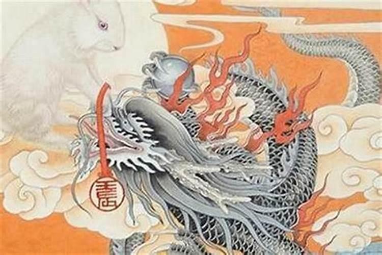 66马和64龙合婚吗？