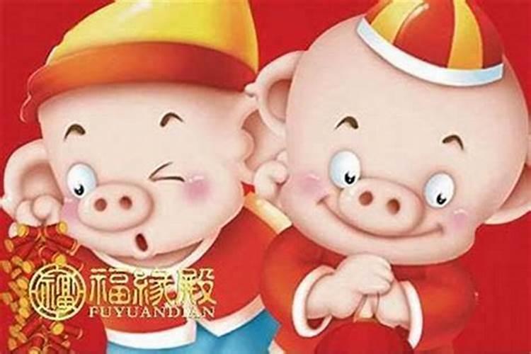 71年属猪的猪年的运势怎么样？