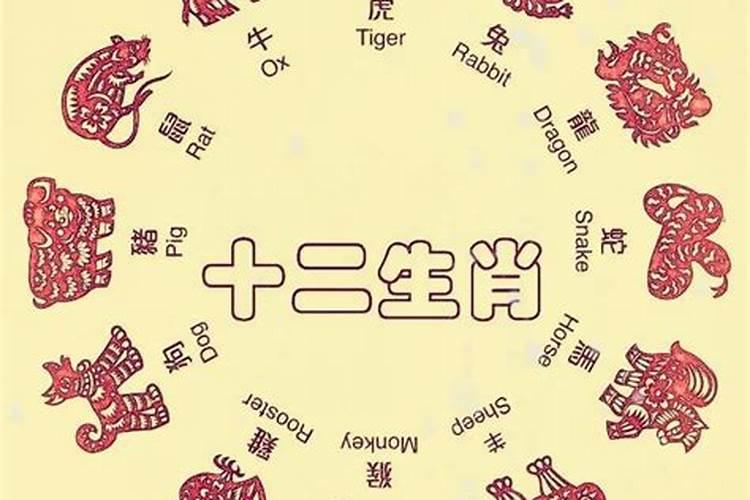 哪个生肖破月严重？