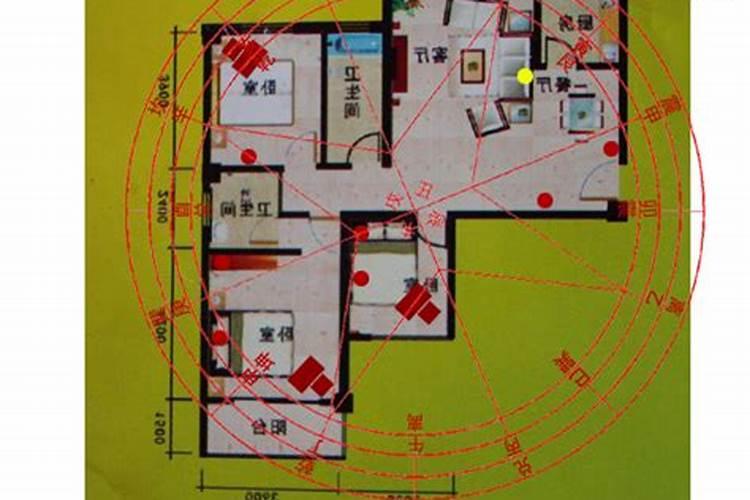 房间里风水放什么旺财？