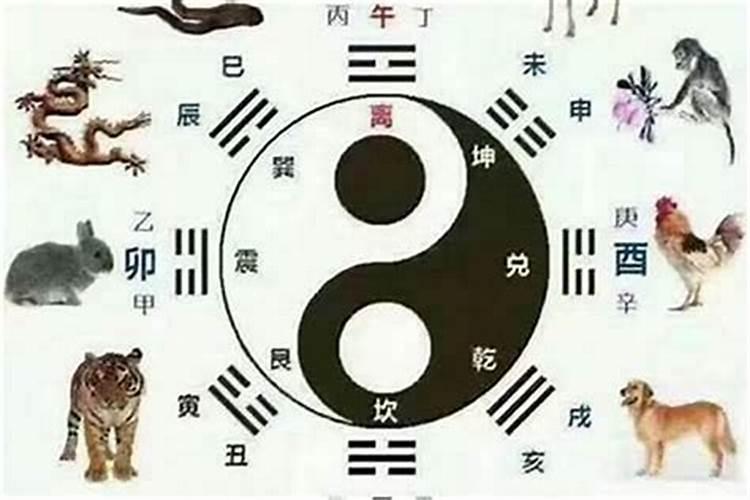 属蛇的跟什么人八字最合？