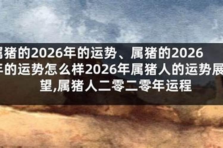 91年的猪2026年运程