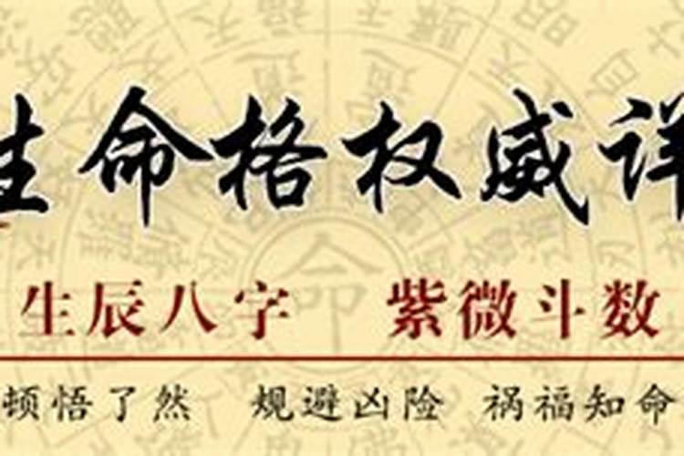 何洪柳八字命运精批