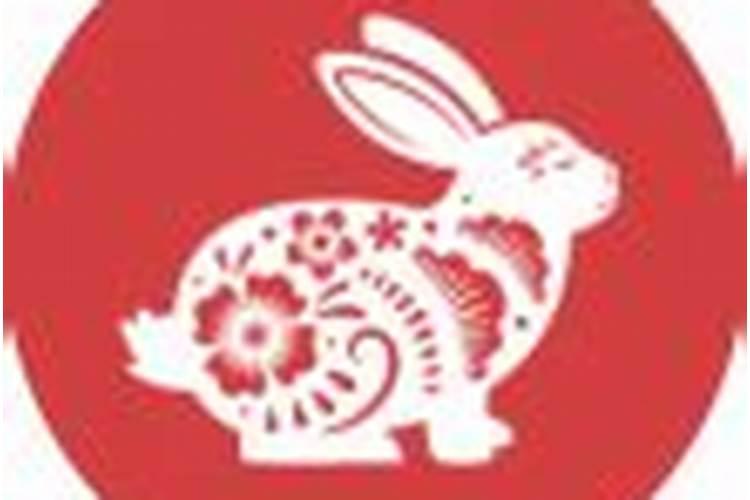 兔蛇八字合不合