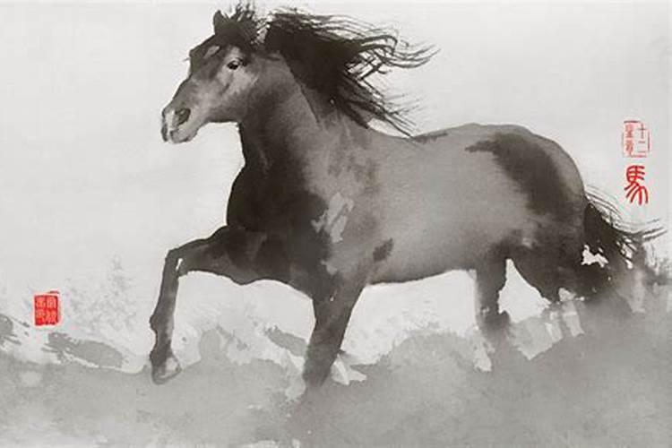 生肖马即将到来的预兆
