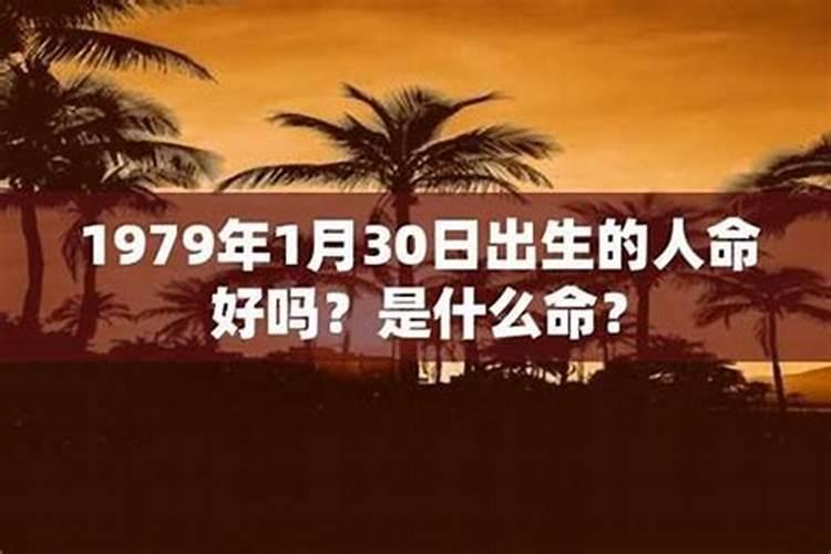 1979年什么命？