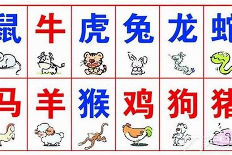 生肖八字合不合