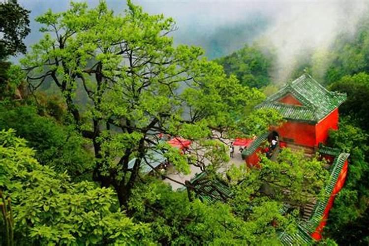 假童子命影响寿命吗？