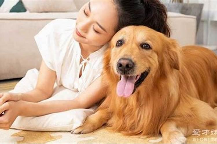 梦见狗狗是什么征兆女人？