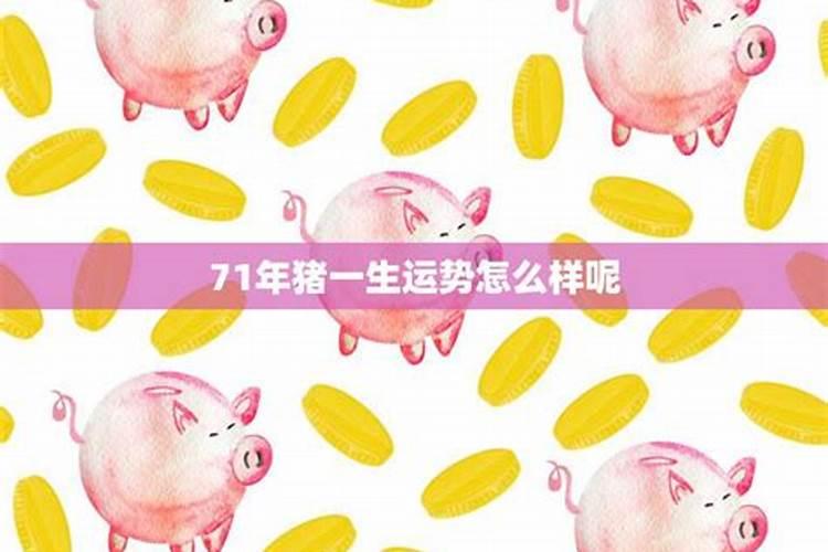 猪年小寒出生男孩运势