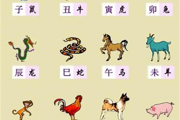 75年出生生肖运程