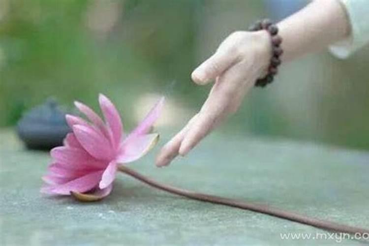 老梦见逝去的亲人是什么预兆？