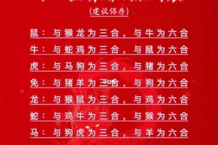 准到心尖的属相婚配