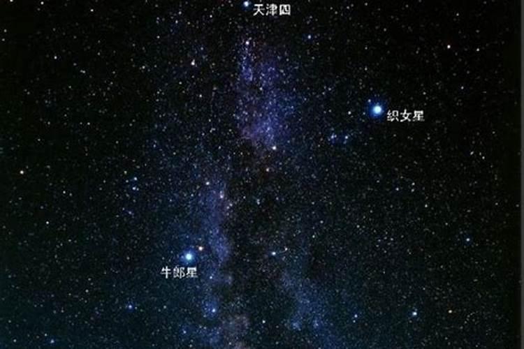 七夕节哪些人在看牛郎星？