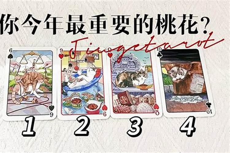 塔罗牌今年桃花运势